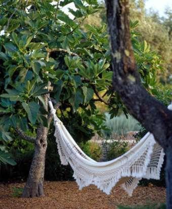 Quinta Da Lua Bed & Breakfast Tavira Exterior photo